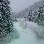 Little Mountain 아파트
