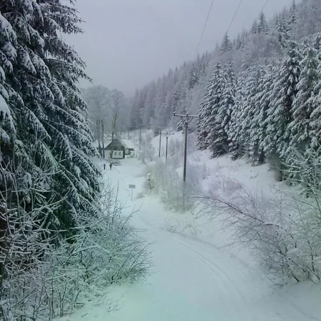 Little Mountain アパート