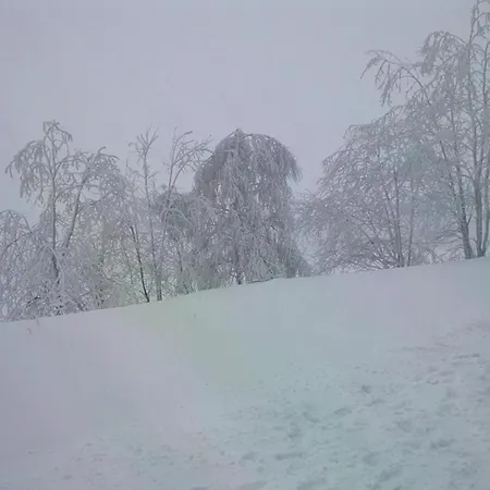 アパート Little Mountain