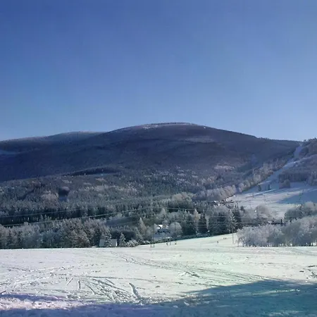 Little Mountain アパート *