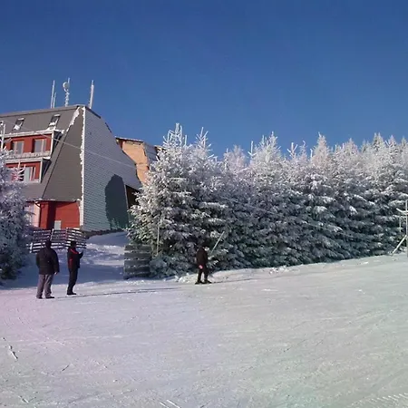 Little Mountain *
